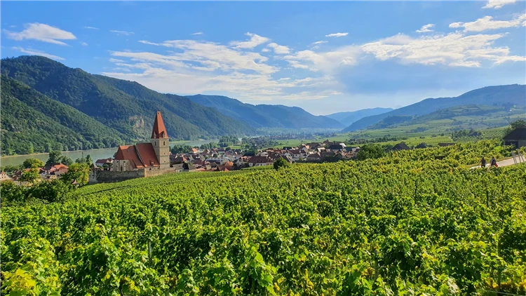 Malebná vesnice v údolí Wachau | Perly Dolního Rakouska s plavbou
