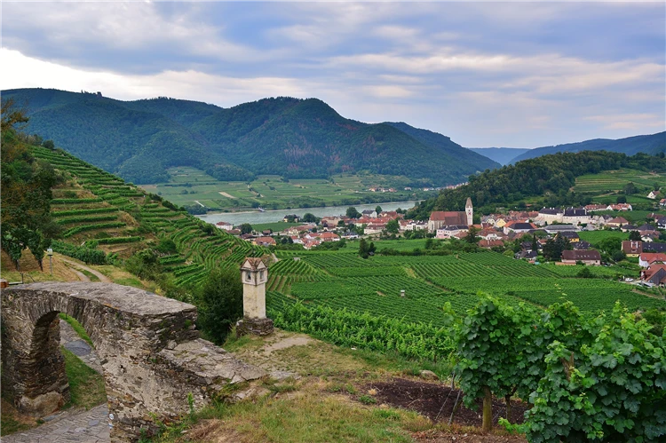 Řeka Dunaj v údolí Wachau, Dolní Rakousko | Perly Dolního Rakouska s plavbou