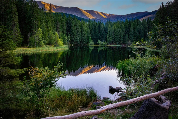 Zasněžené horské vrcholy Nízkých Tater v zimě | NP Nízké Tatry - návrat k divočině
