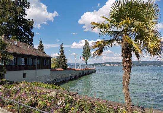 Bodamské jezero a květinový ostrov Mainau - Švýcarsko