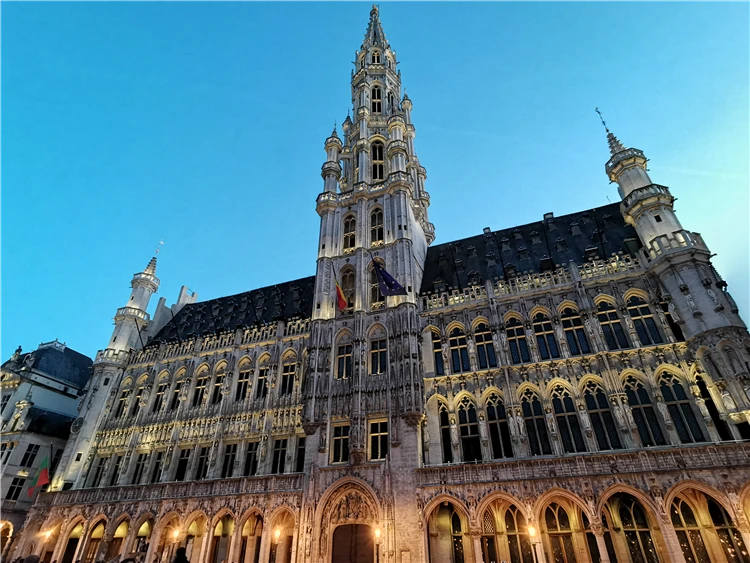 Večerní pohled na osvětlené náměstí v belgickém městě | Belgie a Lucembursko s květinovým kobercem