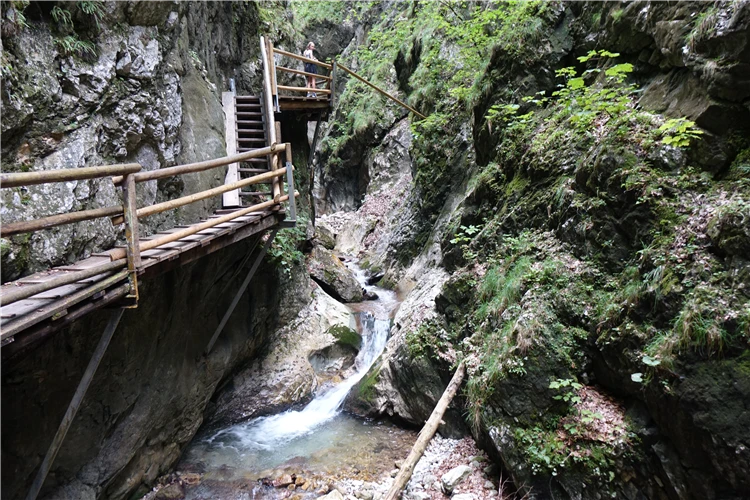 Turistická stezka podél skal v divoké ptačí soutěsce | Divoká ptačí soutěska