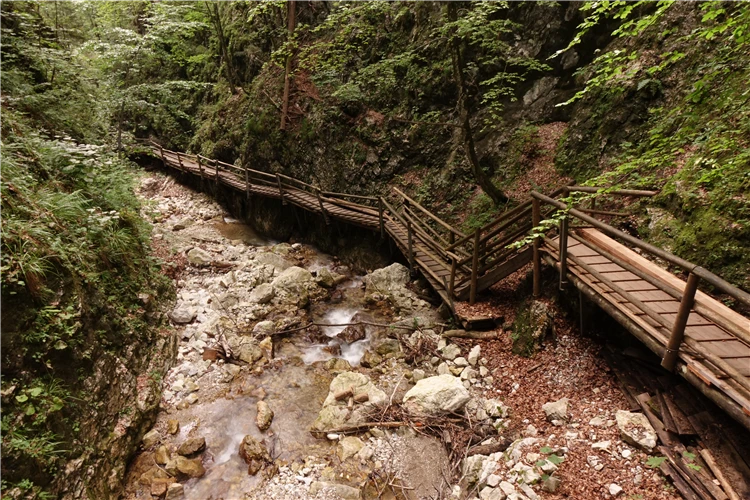 Turisté procházejí úzkou soutěskou mezi skalami | Divoká ptačí soutěska