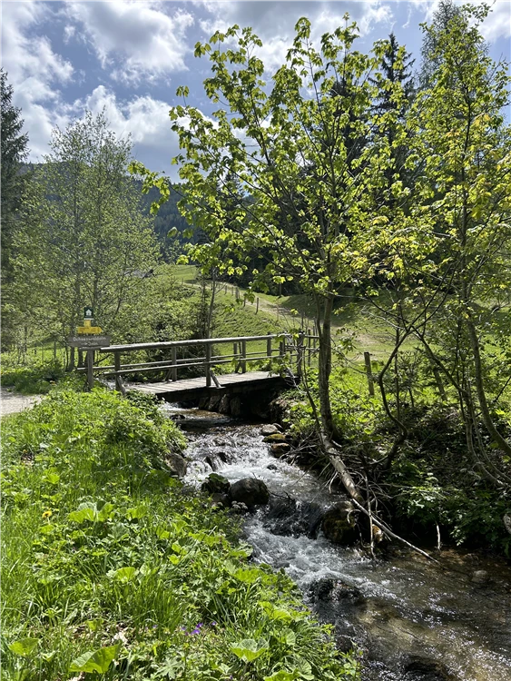 Výlet soutěskou – turisté na horské stezce | Divoká ptačí soutěska