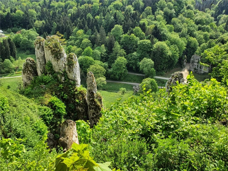 Národní park Ojców s romantickými skalními útesy a zámkem | Krakov a jeho okolí s návštěvou polských Malediv
