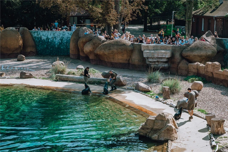 Krmení zvířat ve wrocławské ZOO | Den ve Wroclawi: ZOO, Afrikarium a Sky Tower