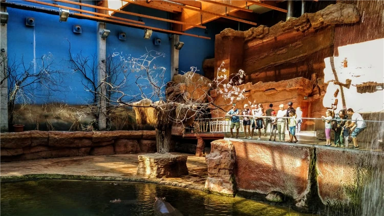 Sky Tower ve Wroclawi – nejvyšší budova v Polsku | Den ve Wroclawi: ZOO, Afrikarium a Sky Tower