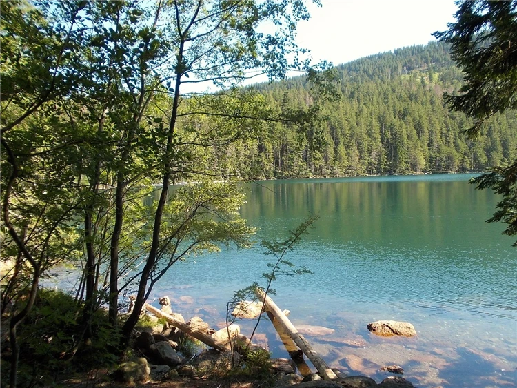 Šumavská krajina s výhledem do dálky | To nejlepší ze Šumavy