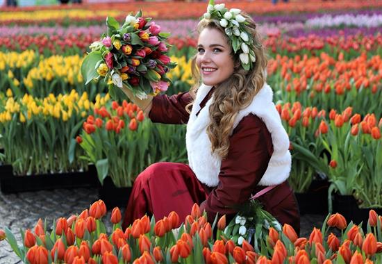 Holandsko plné barev s květinovým korzem - Nizozemí