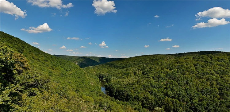 Národní park Podyjí s hustými lesy a meandrující řekou | Znojmo a Bítov - Vánoce v Podyjí