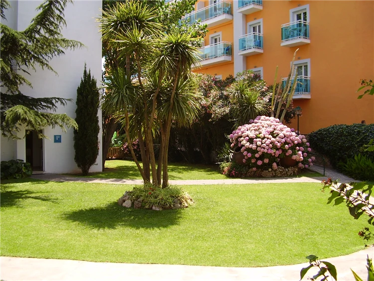 Zahrada hotelu Alegria Maripins s tropickou zelení | Malgrat de Mar / Hotel Alegria Maripins