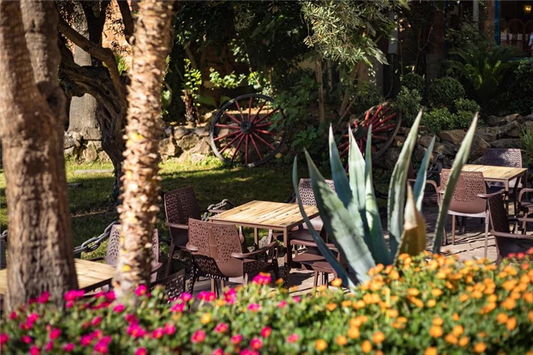 Zahrada hotelu HTop Planamar s tropickou zelení | Malgrat de Mar / HTop Hotel Planamar