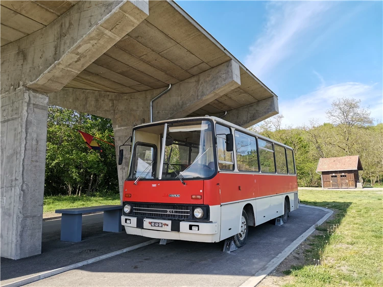 Expozice žraloků a mořských ryb v Tropicarium Budapešť | Budapešť a její blízké okolí s návštěvou Tropicaria
