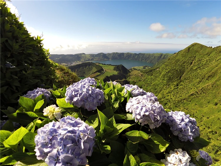 Panoramatický výhled na krajinu Azorských ostrovů | Azorské ostrovy São Miguel a Santa Maria