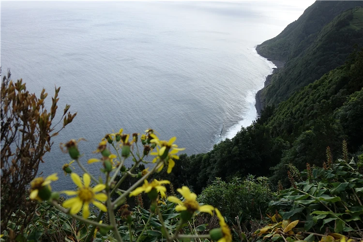 Turistický výlet na ostrově Sao Miguel či Santa Maria | Azorské ostrovy São Miguel a Santa Maria