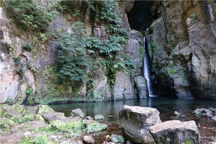 Výhled na přírodu ostrova Sao Miguel nebo Santa Maria | Azorské ostrovy São Miguel a Santa Maria