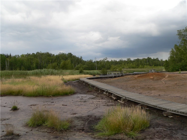 Přírodní rezervace Soos – rašeliniště a minerální prameny | Západní Čechy - lázeňský trojúhelník