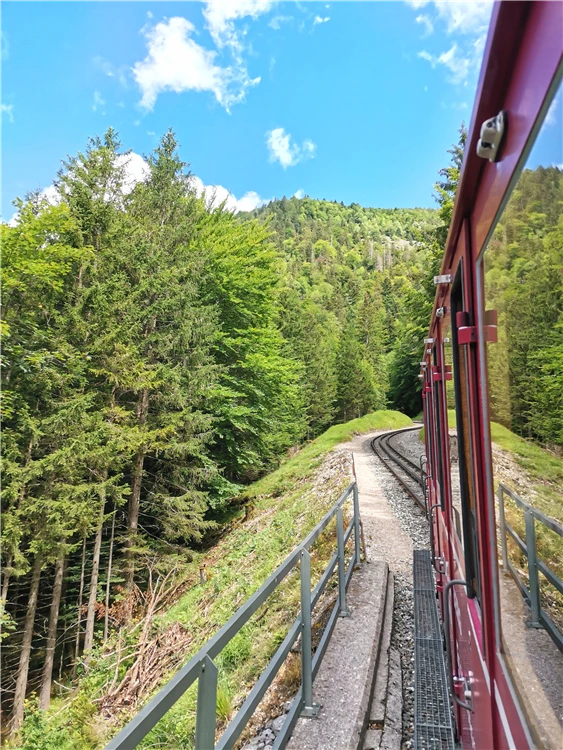 Alpská krajina během zájezdu na Wolfgangsee | Jezero Wolfgangsee a zubačka na Schafberg