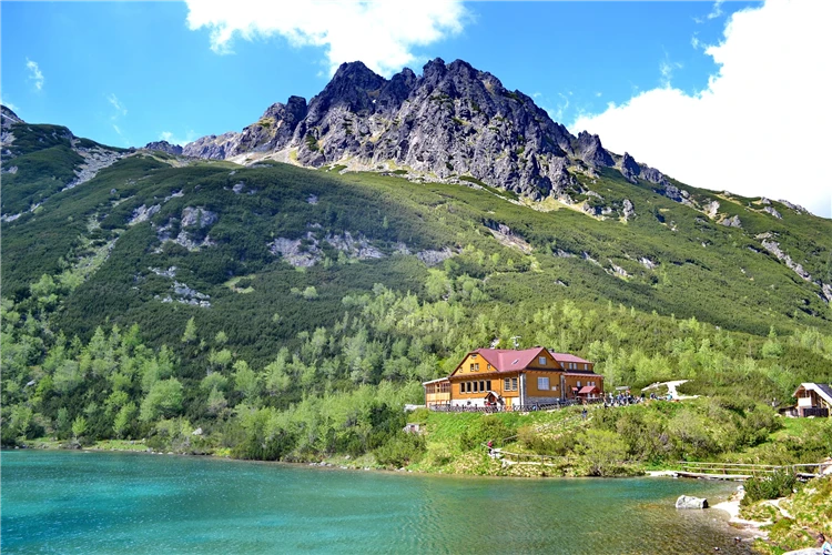 Horské pleso v slovenských Tatrách obklopené lesy | Krásy slovenských Tater