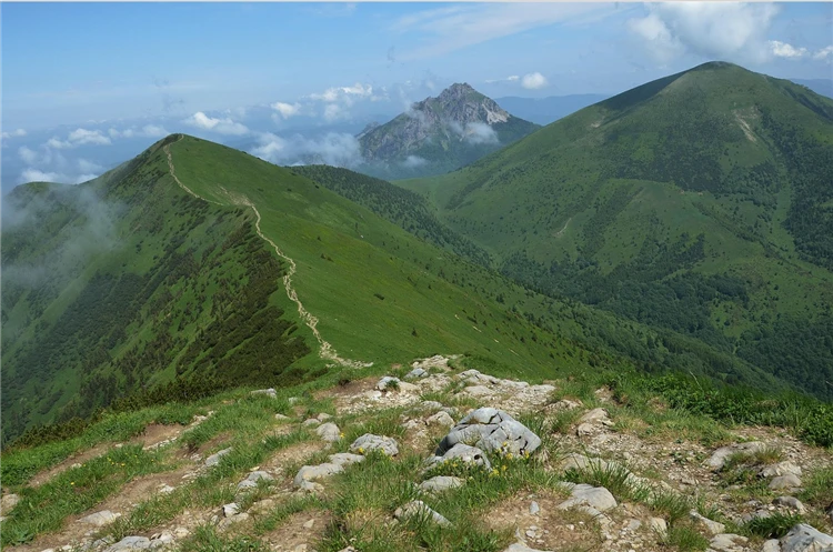 Slovenské Tatry s horskými štíty a lesem | Krásy slovenských Tater