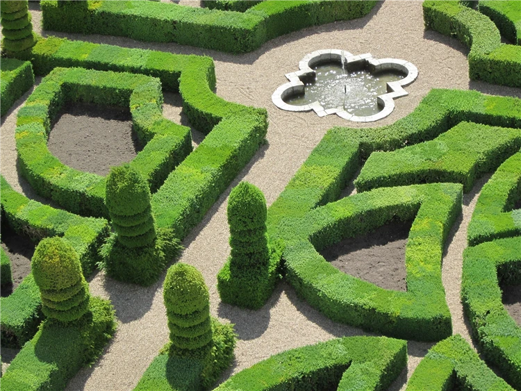 Zámek Villandry s francouzskými zahradami | Smyslná Paříž, zámky na Loiře a zábavní park Disneyland