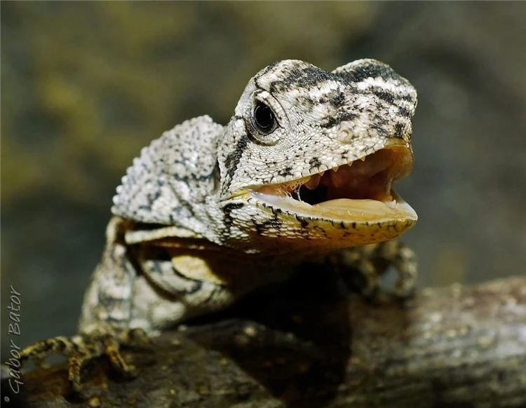 Interaktivní expozice v budapešťském muzeu | Budapešť a její blízké okolí s návštěvou Tropicaria
