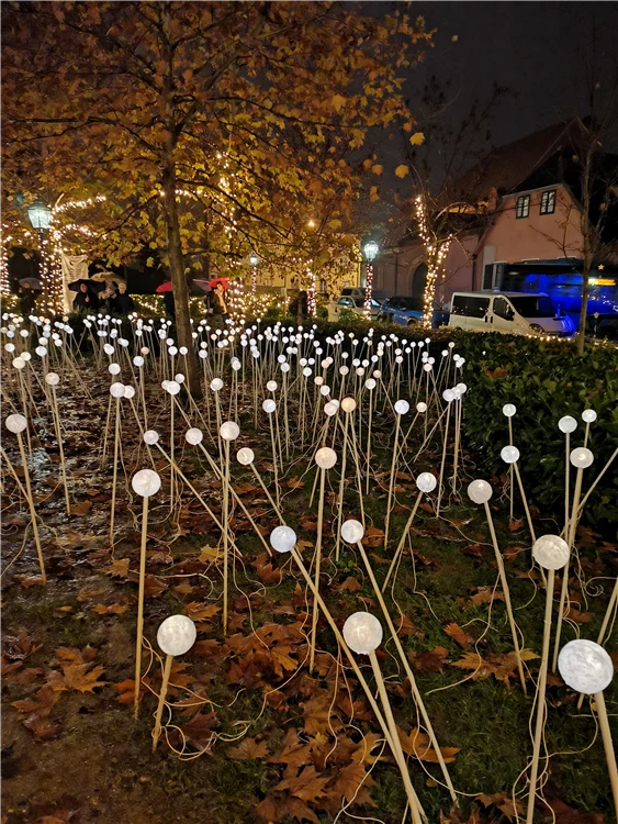Festival světel v Záhřebu – noční světelná instalace | Festival světel Záhřeb a termální lázně
