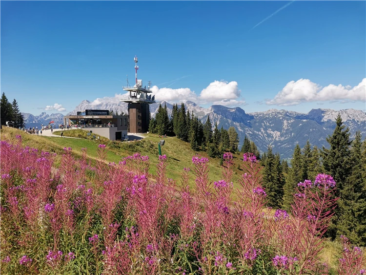 Výhled na alpské panorama při túře v Rakousku | Ledovec Dachstein a nejkrásnější jezera Alp