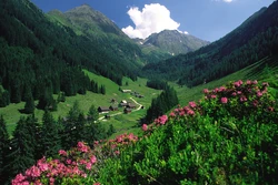 Schladming – pohled na město a okolní hory | Ledovec Dachstein a nejkrásnější jezera Alp