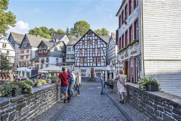 Malebné německé město s historickou architekturou | Údolí Rýna plné romantiky a historie
