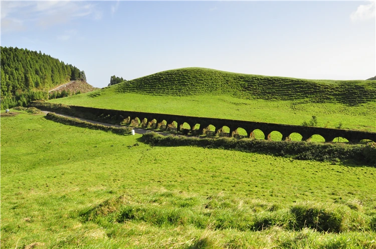 Zelená krajina ostrova Sao Miguel na Azorech | Azorské ostrovy São Miguel a Santa Maria