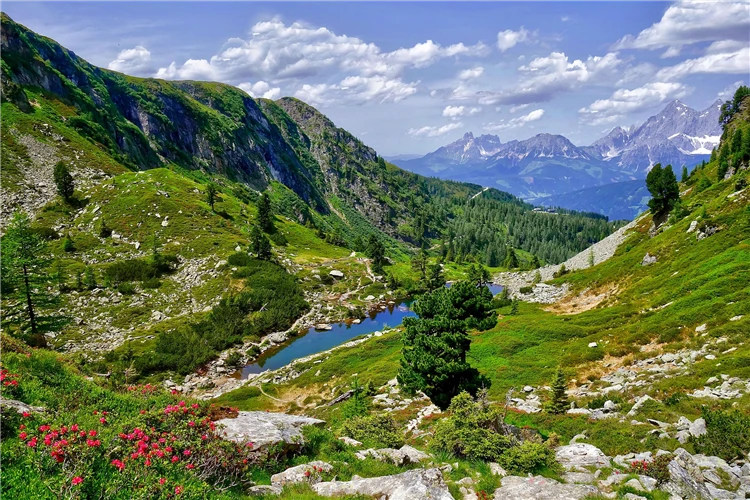 Horské jezero Gasselsee obklopené alpskými loukami | Ledovec Dachstein a nejkrásnější jezera Alp