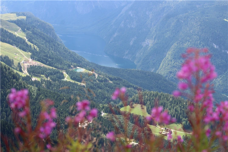 Výlet do alpské přírody – pohled na hory | Hitlerovo Orlí hnízdo, Hallstatt a Berchtesgaden