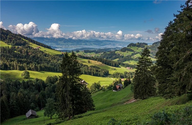 Předalpská krajina Švýcarska se zelenými svahy | Švýcarské perly a železnice UNESCO