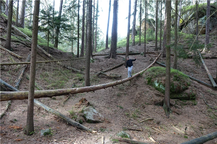 Přírodní scenérie skalního labyrintu Toulovcovy Maštale | Litomyšl, Nové Hrady a unikátní skalní město Toulovcovy Maštale
