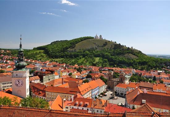 Pálavské vrchy a Mikulov s vůní levandule - Česká republika
