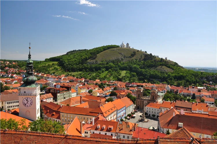Pohled na Pálavské vrchy s vinařskou krajinou | Pálavské vrchy a Mikulov s vůní levandule