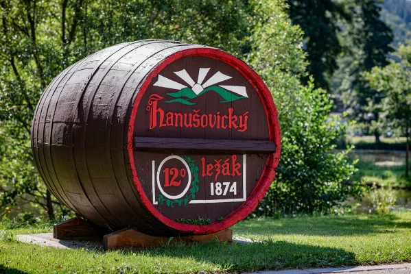Příroda v okolí Dlouhých Strání a Hanušovic v Jeseníkách | Velké Losiny, Dlouhé Stráně a Hanušovice - podhůří Jeseníků