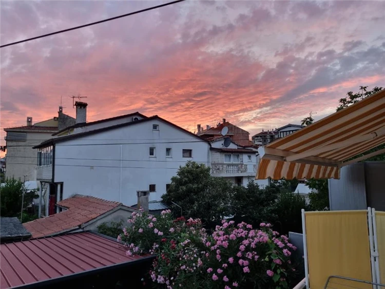 Výhled z terasy Apartmánového domu Sojka na okolí Rovinje | Rovinj / Apartmánový dům Sojka