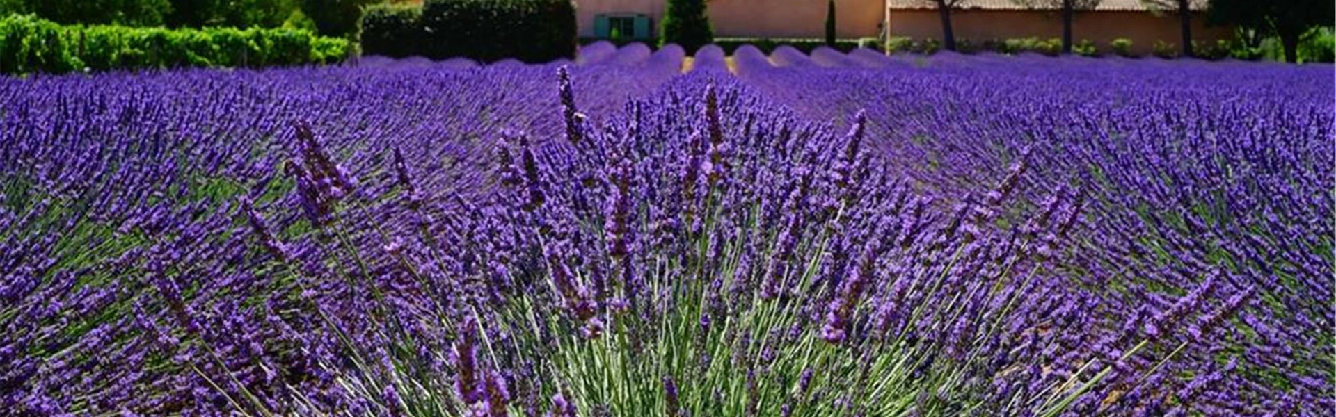 Skryté perly Provence - program s koupáním v moři, jezeře i řece