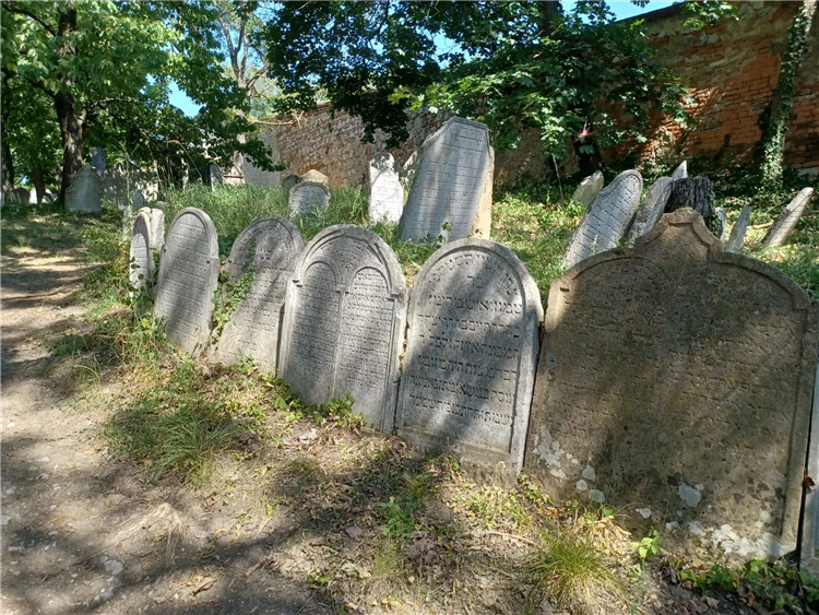 Pálavské vrchy a Mikulov s vůní levandule