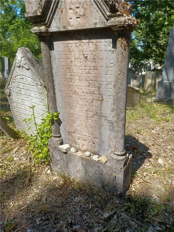 Pálavské vrchy a Mikulov s vůní levandule