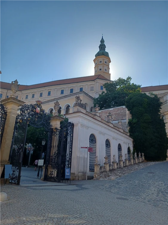Pálavské vrchy a Mikulov s vůní levandule
