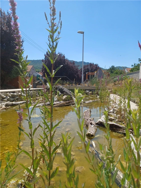 Pálavské vrchy a Mikulov s vůní levandule