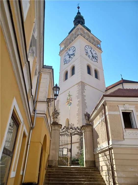 Pálavské vrchy a Mikulov s vůní levandule