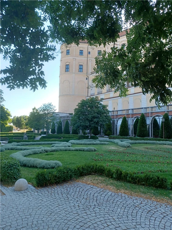 Pálavské vrchy a Mikulov s vůní levandule