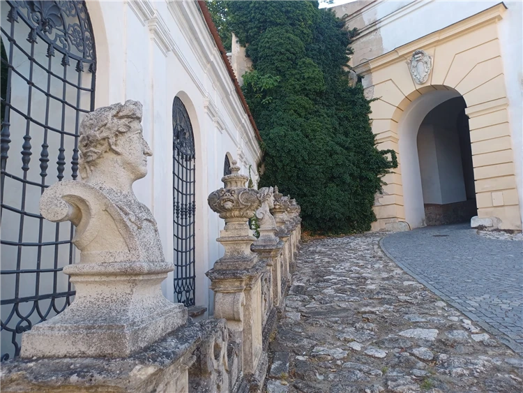 Pálavské vrchy a Mikulov s vůní levandule