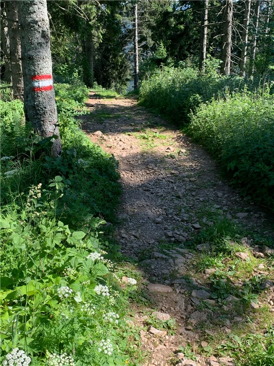 Medvědí soutěska