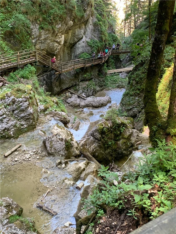 Medvědí soutěska