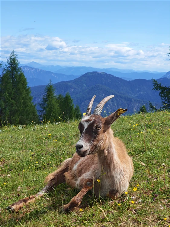 Za pohodovou turistikou do Slovinska a Itálie